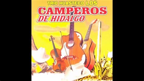 trios huastecos|trio huasteco camperos de hidalgo.